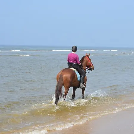 Strandhotel Golfzang 4* Эгмонд-ан-Зее