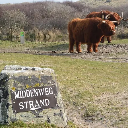 Strandhotel Golfzang Hotel 4*