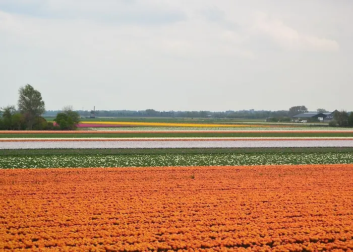 Strandhotel Golfzang