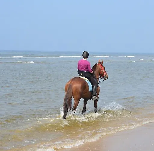 Strandhotel Golfzang 4* Egmond aan Zee