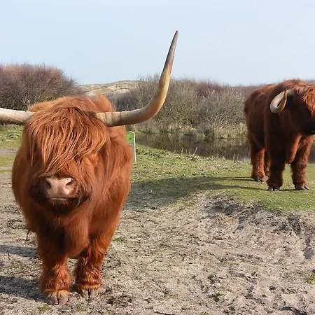 Hotel Strandhotel Golfzang Egmond aan Zee
